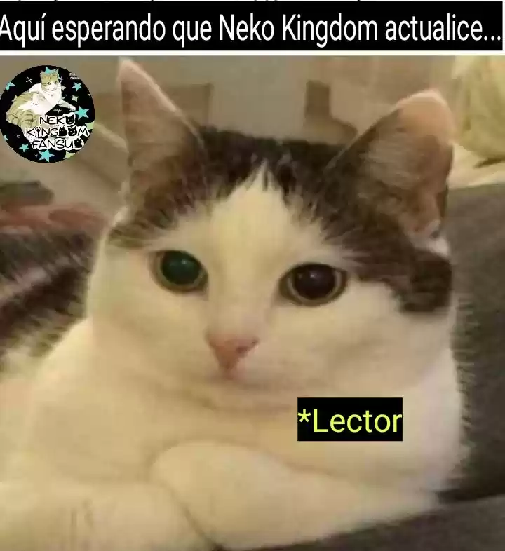 No Subestimes Al Personaje De Apoyo - Capítulo 141 - Página 69 - LectorTMOo