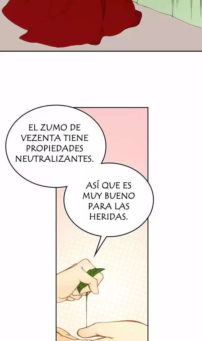 No Vengas A La Florería De Wendy - Capítulo 10 - Página 51 - LectorTMOo
