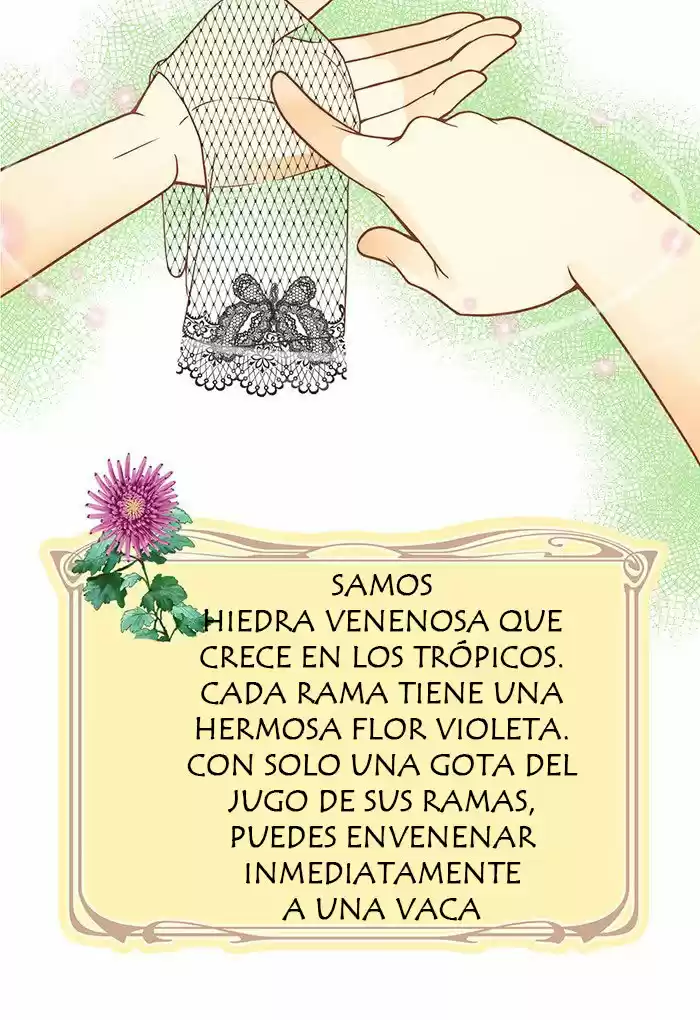 No Vengas A La Florería De Wendy - Capítulo 25 - Página 13 - LectorTMOo