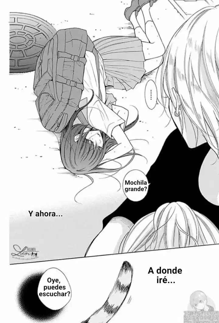 Noraneko To Ookami - Capítulo 1 - Página 5 - LectorTMOo