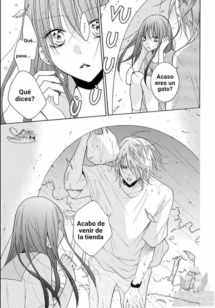 Noraneko To Ookami - Capítulo 2 - Página 30 - LectorTMOo
