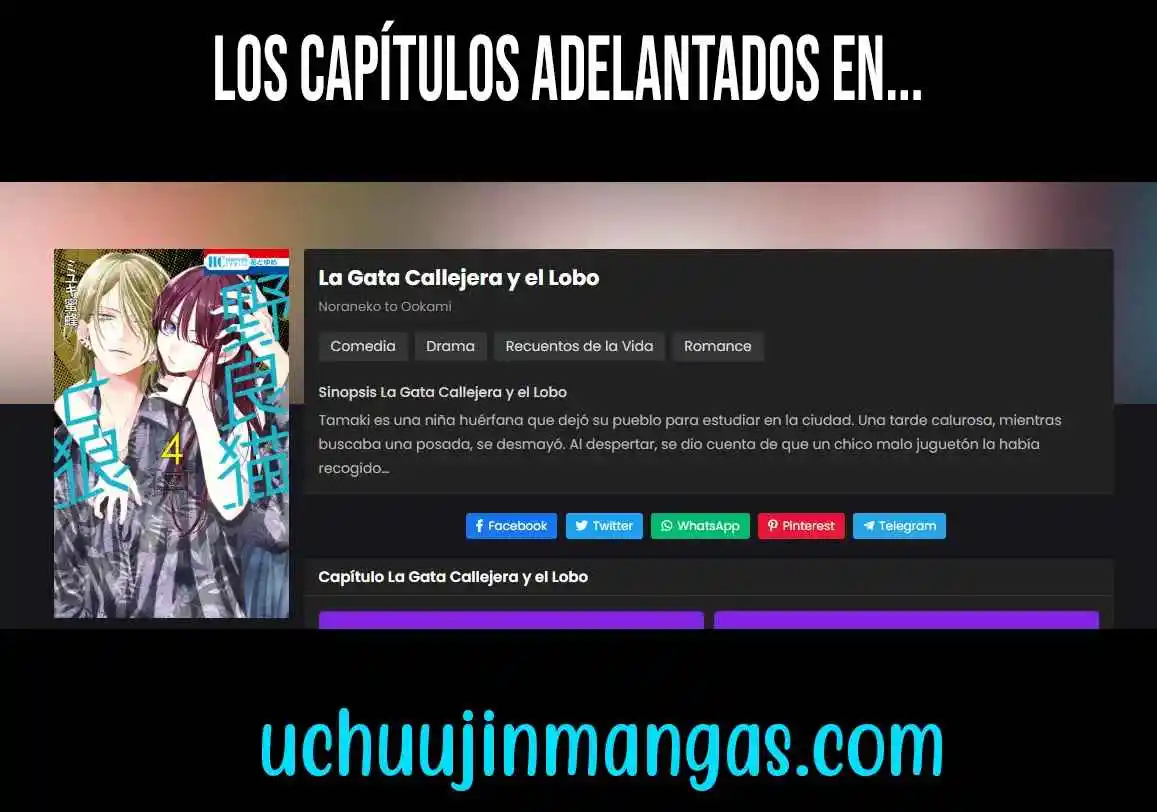 Noraneko To Ookami - Capítulo 22 - Página 4 - LectorTMOo