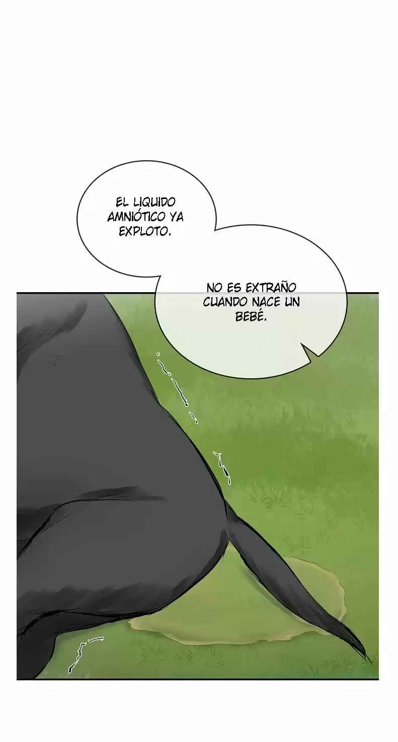 ~Nuritas False Novia~ - Capítulo 28 - Página 25 - LectorTMOo