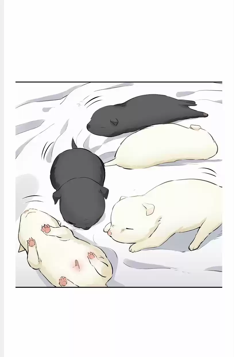 ~Nuritas False Novia~ - Capítulo 28 - Página 46 - LectorTMOo