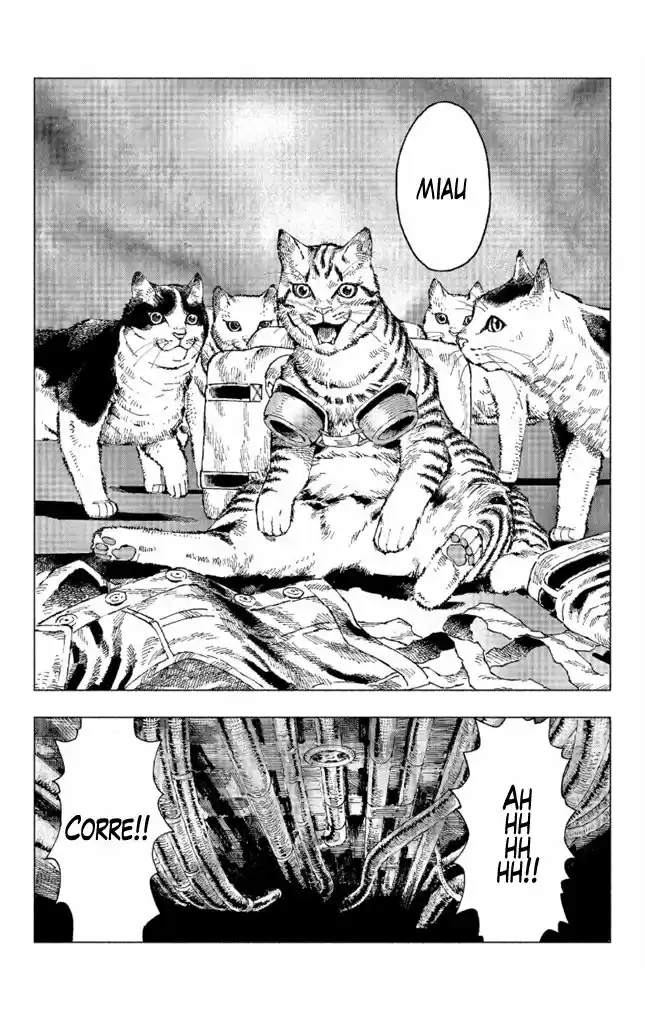 Nyaight Of The Living Cat - Capítulo 1 - Página 7 - LectorTMOo