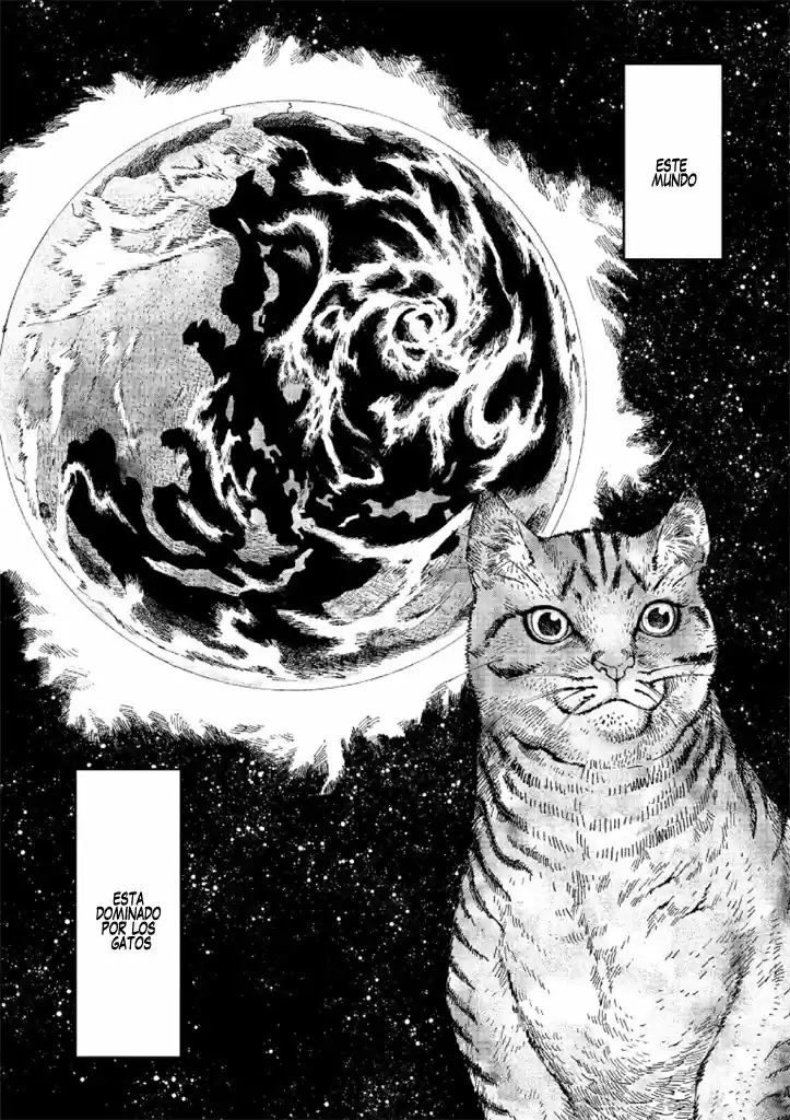 Nyaight Of The Living Cat - Capítulo 1 - Página 8 - LectorTMOo