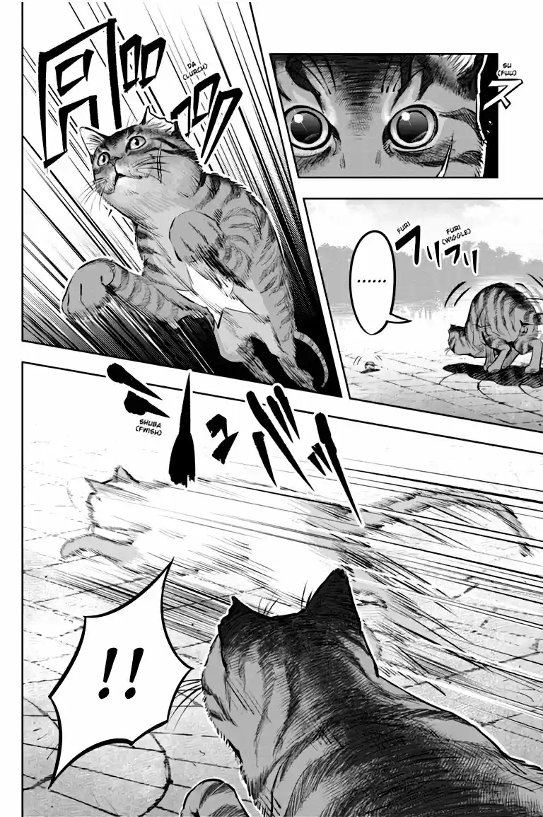 NYANKEES - Capítulo 1 - Página 13 - LectorTMOo