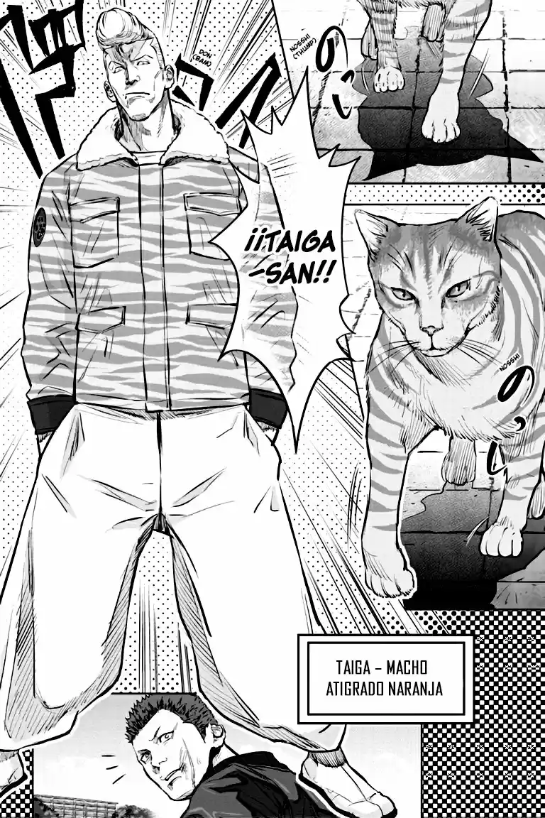 NYANKEES - Capítulo 1 - Página 29 - LectorTMOo