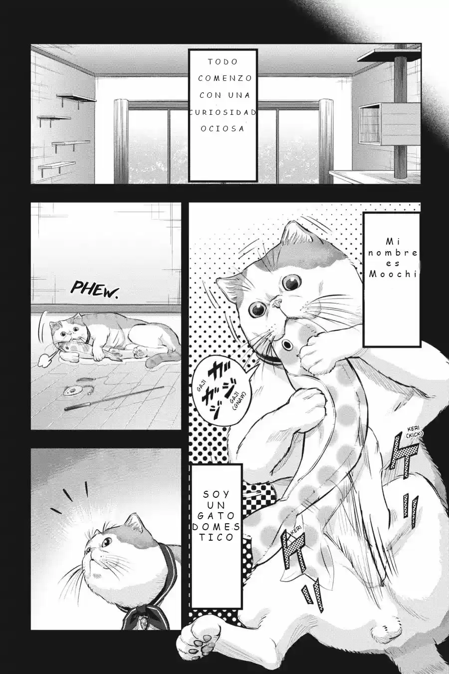 NYANKEES - Capítulo 10 - Página 9 - LectorTMOo