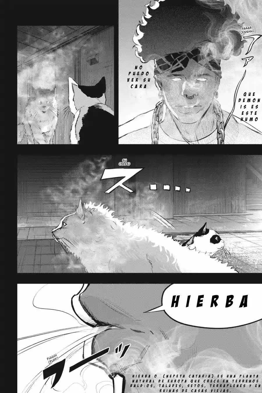 NYANKEES - Capítulo 11 - Página 17 - LectorTMOo