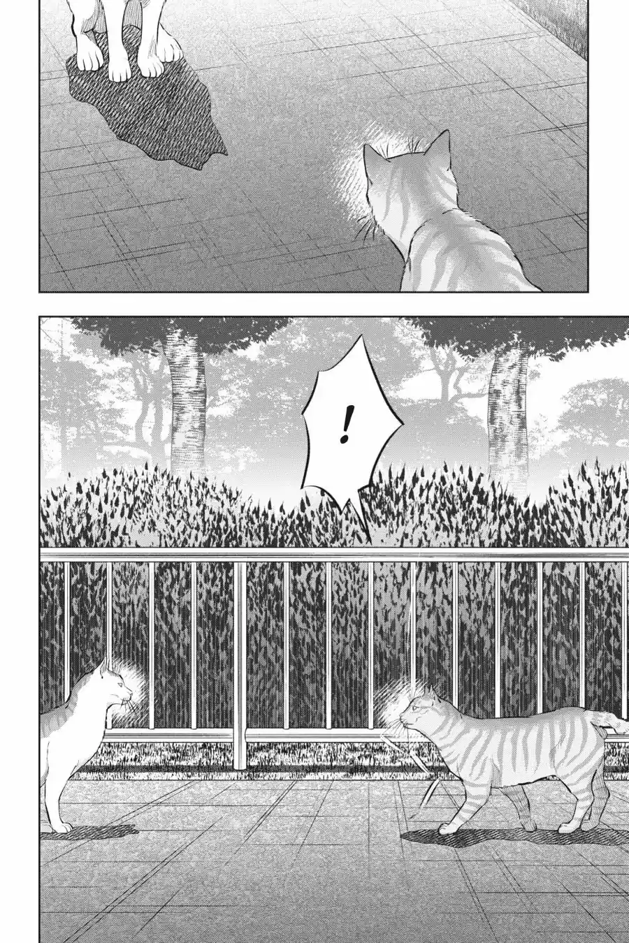NYANKEES - Capítulo 14 - Página 20 - LectorTMOo