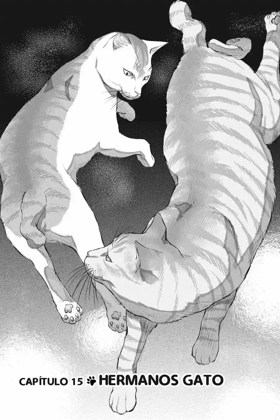NYANKEES - Capítulo 15 - Página 1 - LectorTMOo