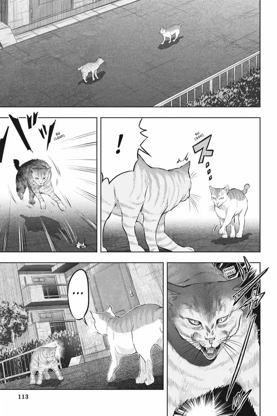 NYANKEES - Capítulo 15 - Página 3 - LectorTMOo