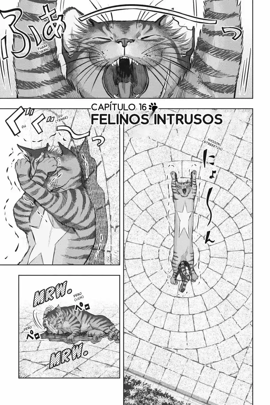 NYANKEES - Capítulo 16 - Página 1 - LectorTMOo
