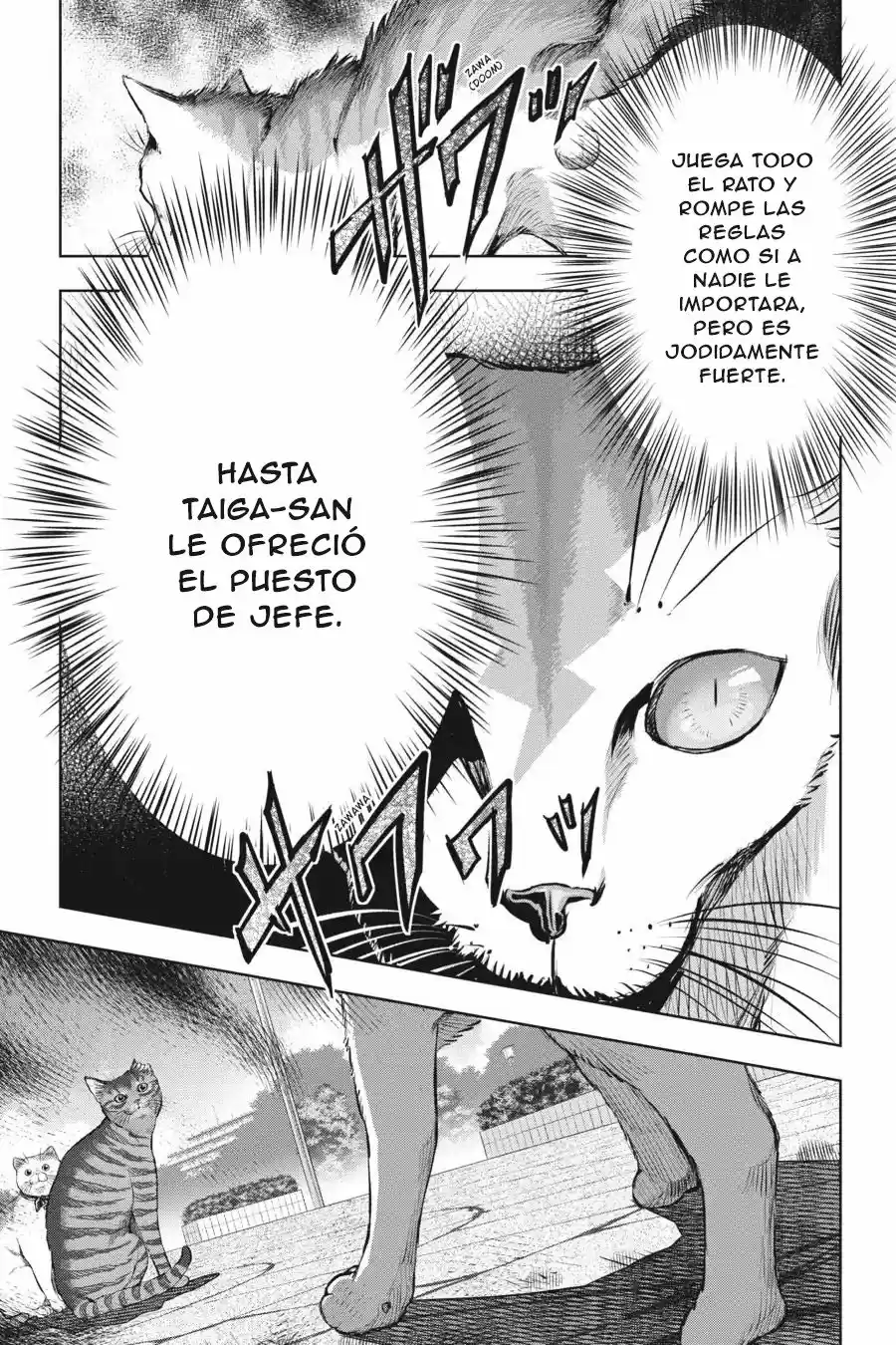 NYANKEES - Capítulo 16 - Página 22 - LectorTMOo