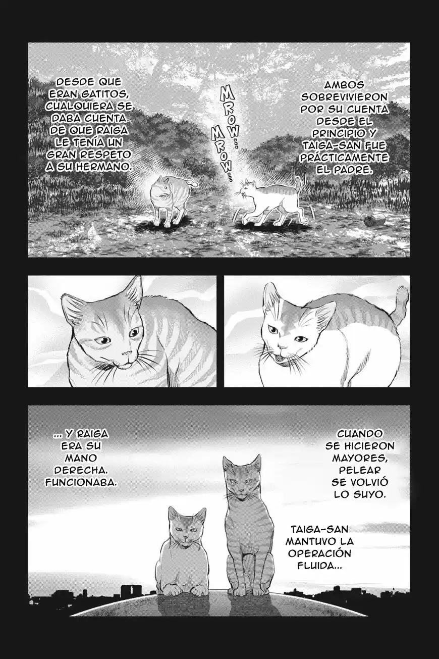NYANKEES - Capítulo 17 - Página 26 - LectorTMOo
