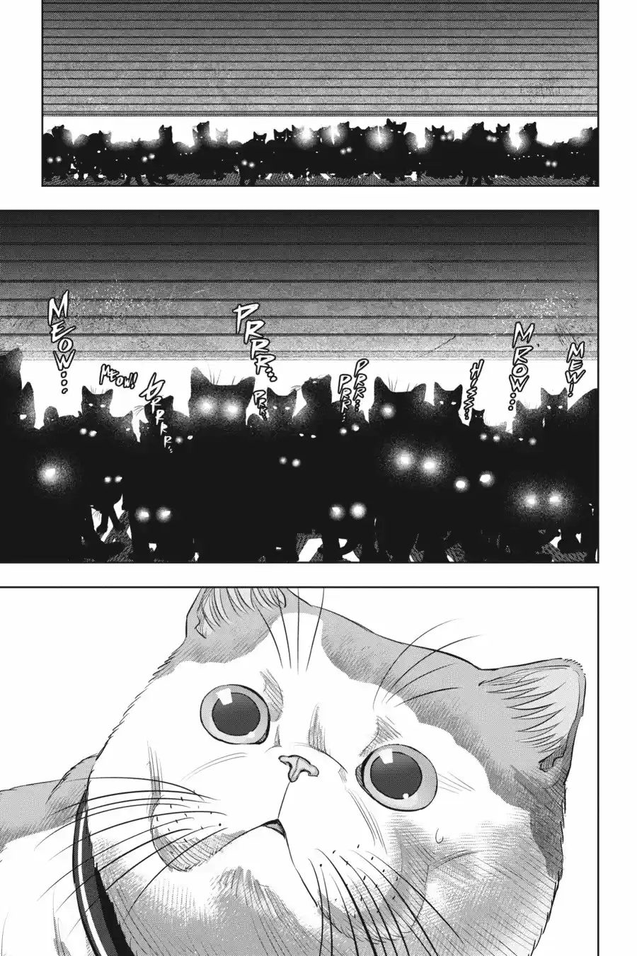 NYANKEES - Capítulo 20 - Página 37 - LectorTMOo