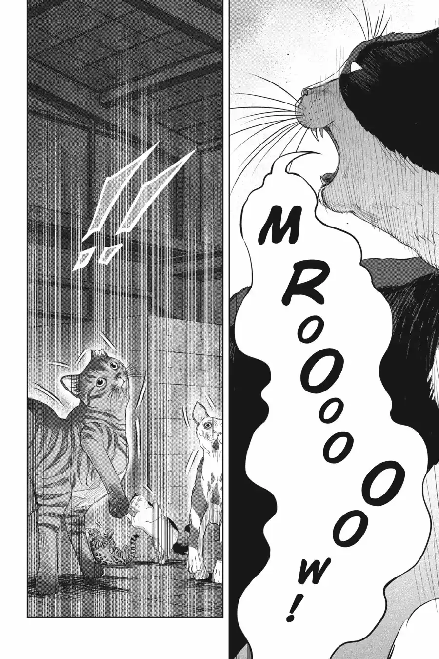 NYANKEES - Capítulo 21 - Página 10 - LectorTMOo