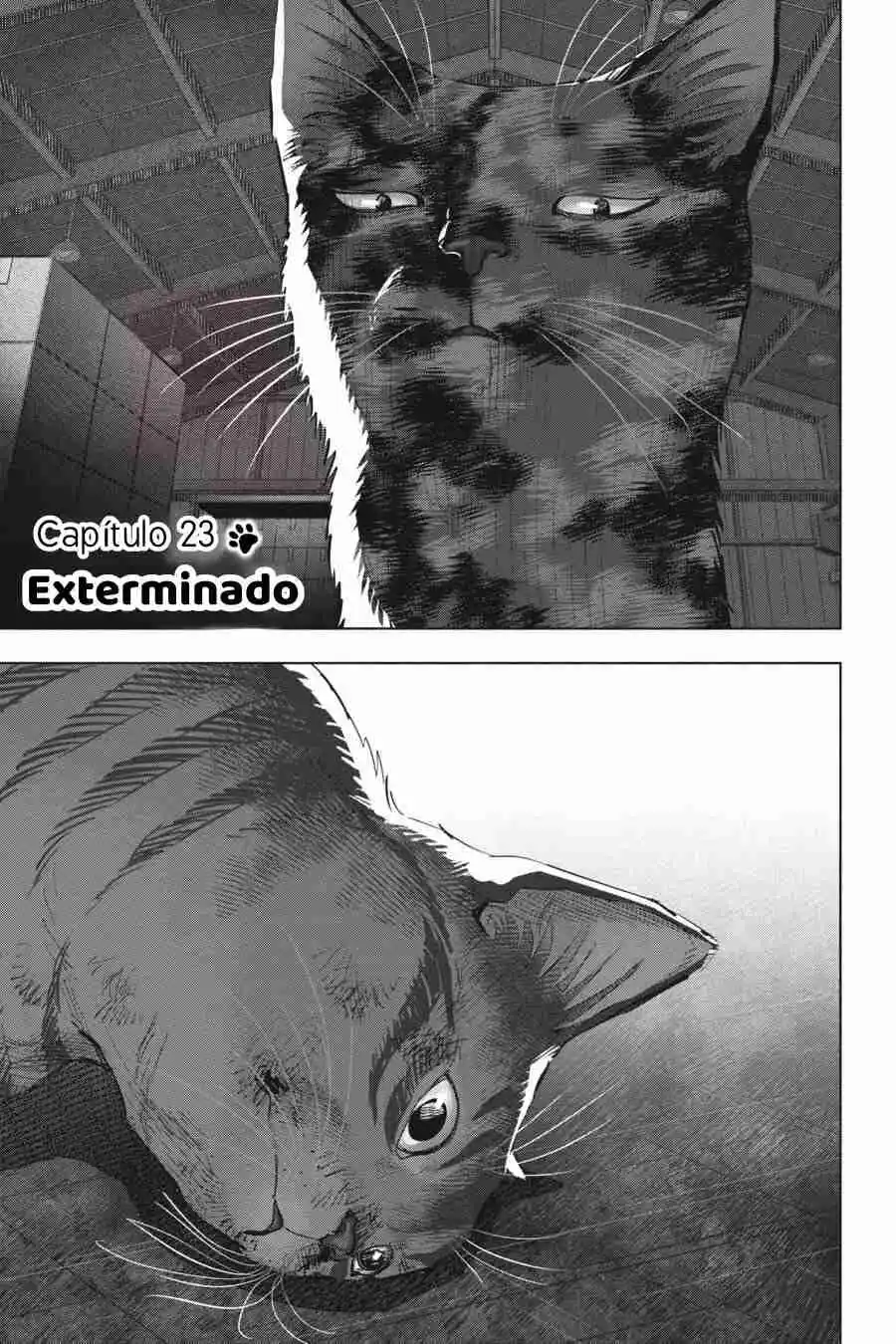 NYANKEES - Capítulo 23 - Página 1 - LectorTMOo