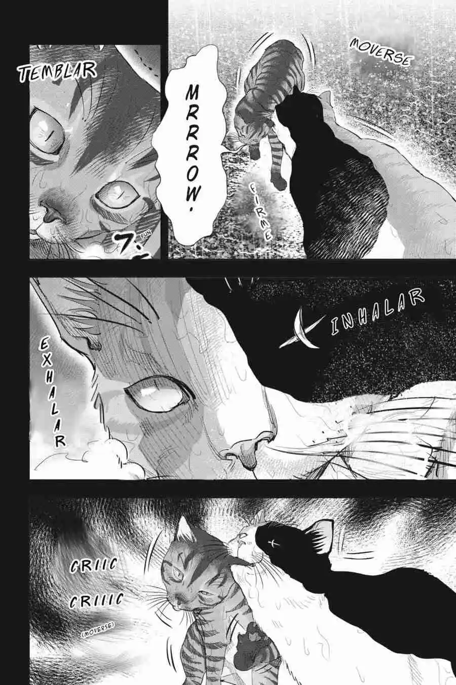 NYANKEES - Capítulo 23 - Página 16 - LectorTMOo