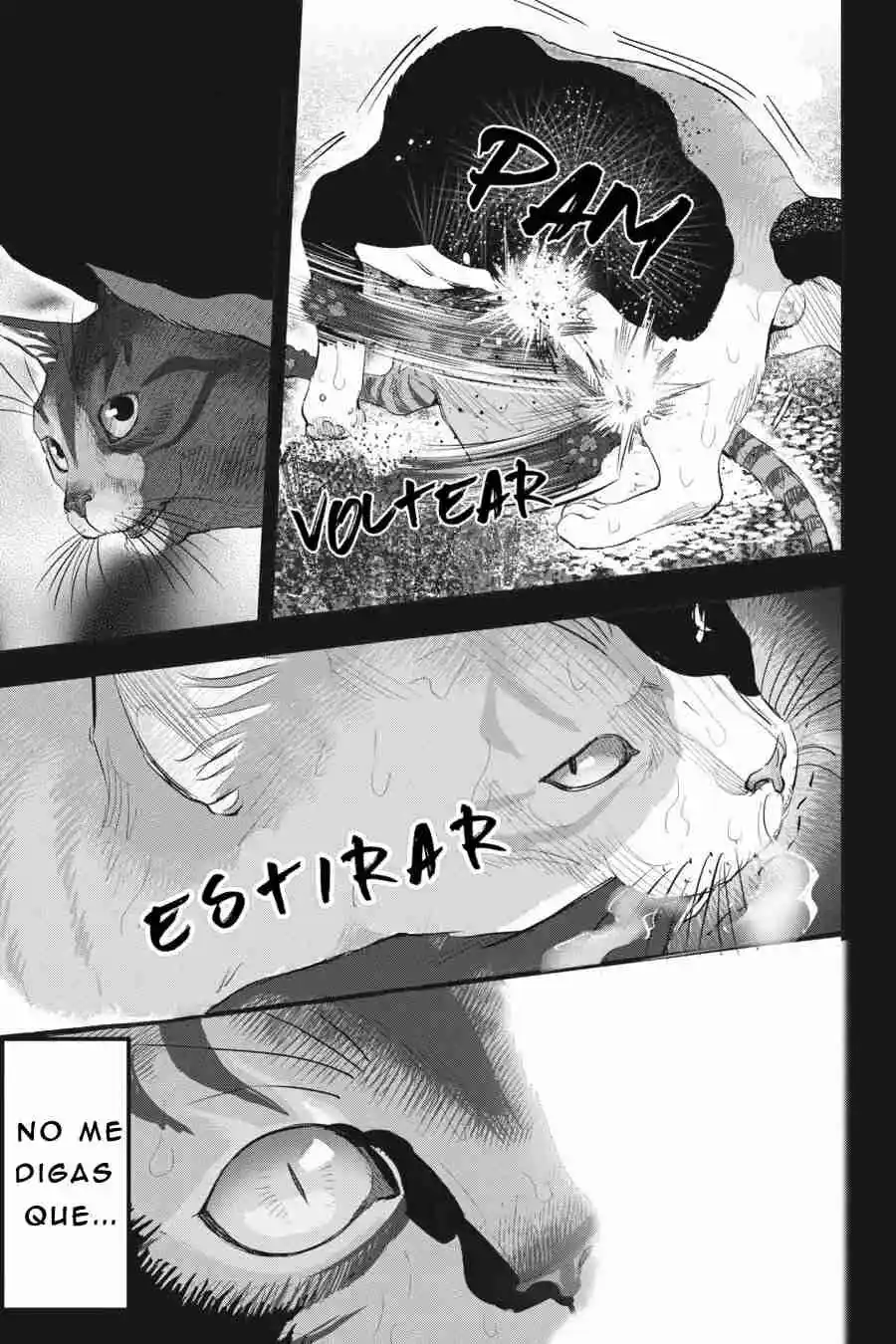 NYANKEES - Capítulo 23 - Página 17 - LectorTMOo