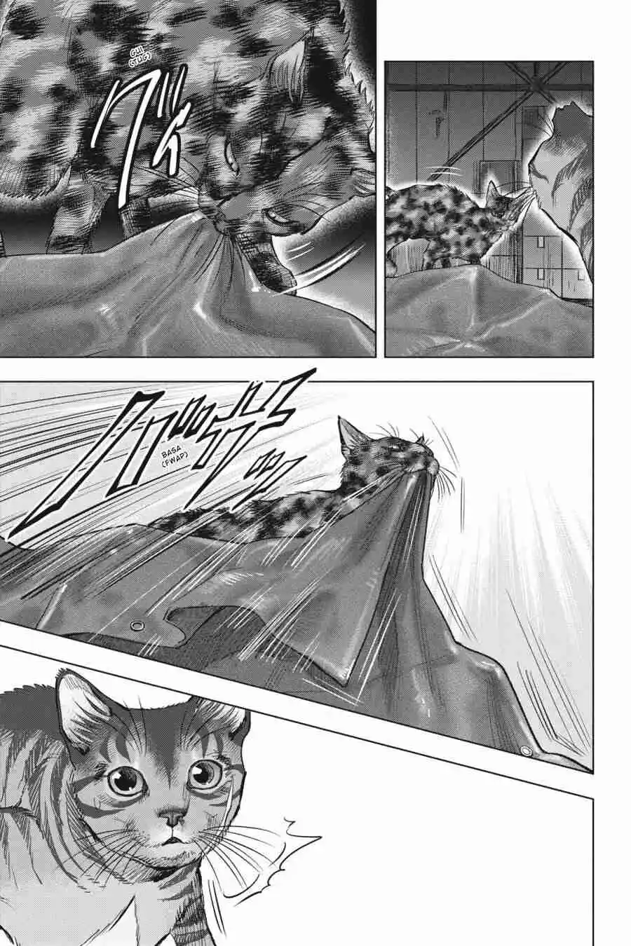 NYANKEES - Capítulo 24 - Página 13 - LectorTMOo