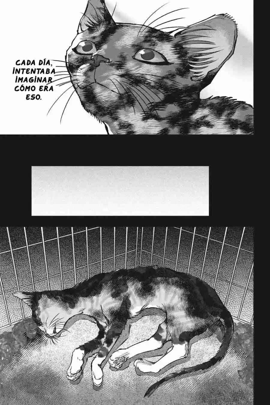NYANKEES - Capítulo 26 - Página 22 - LectorTMOo