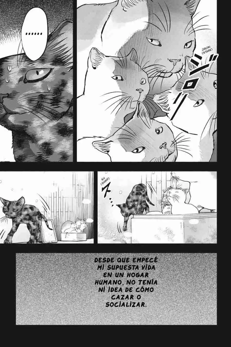 NYANKEES - Capítulo 26 - Página 34 - LectorTMOo