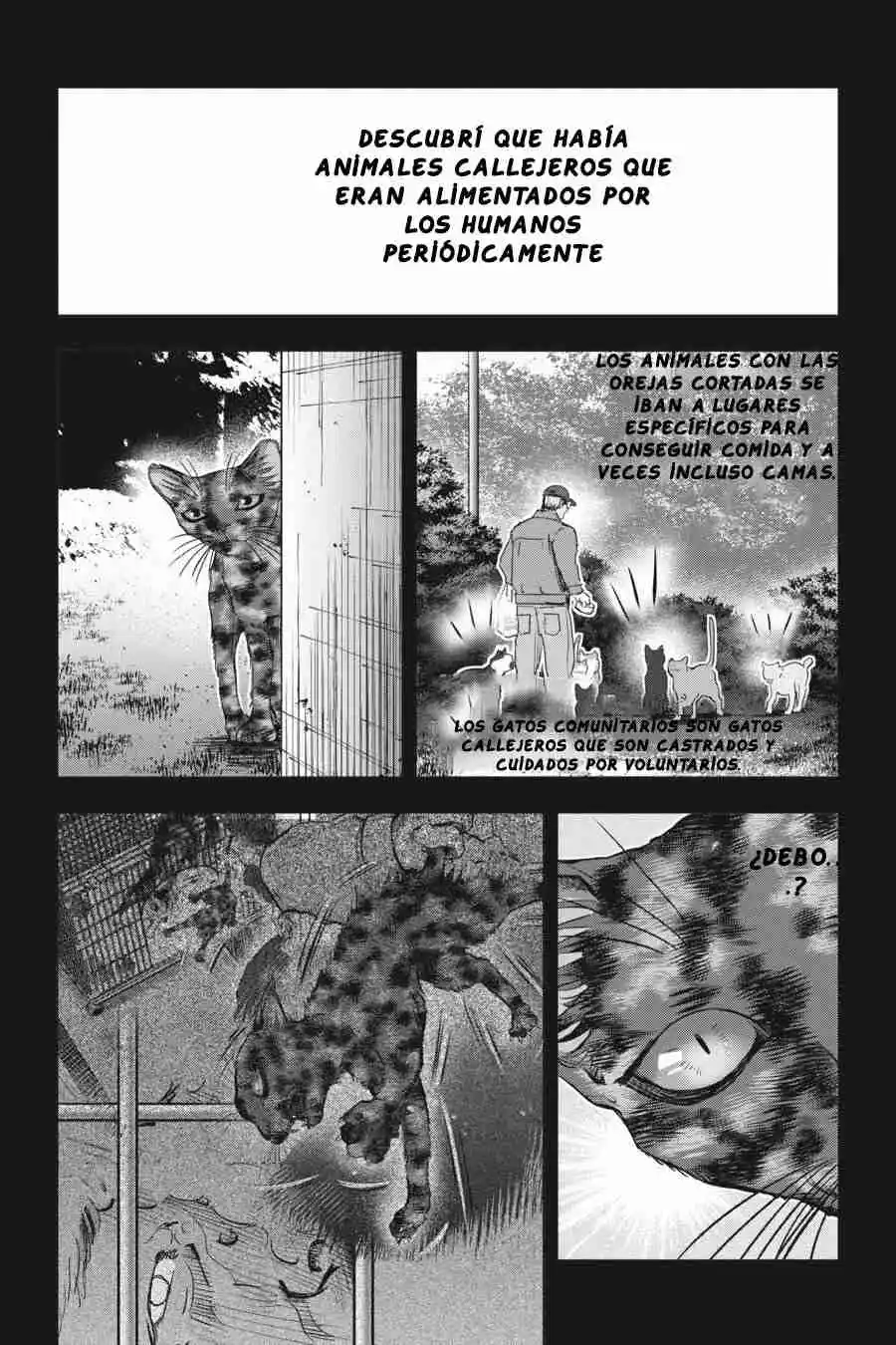 NYANKEES - Capítulo 26 - Página 35 - LectorTMOo