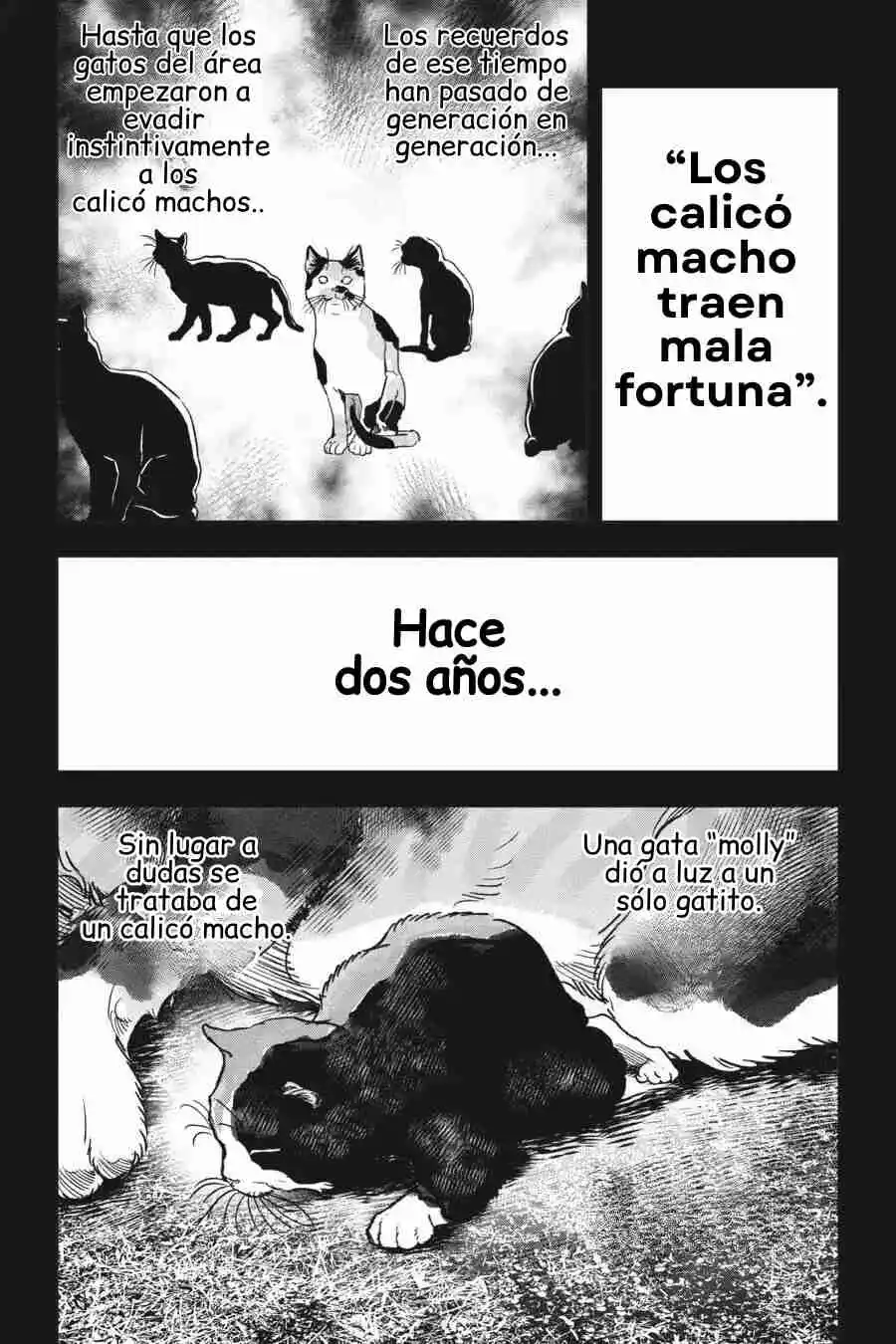 NYANKEES - Capítulo 27 - Página 7 - LectorTMOo