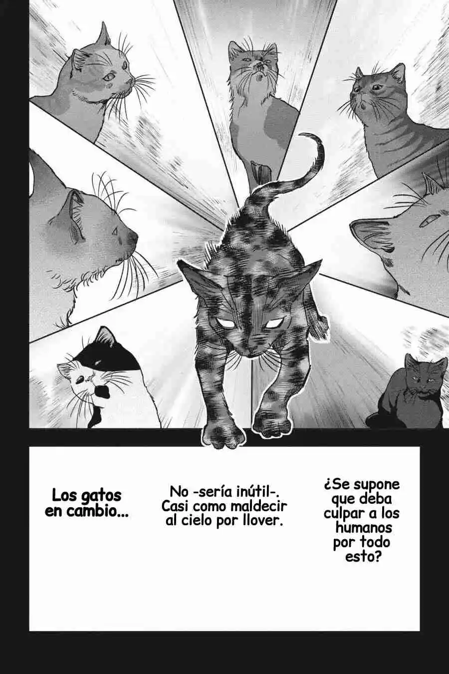 NYANKEES - Capítulo 27 - Página 13 - LectorTMOo