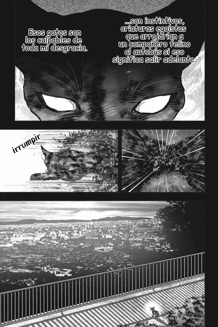 NYANKEES - Capítulo 27 - Página 14 - LectorTMOo