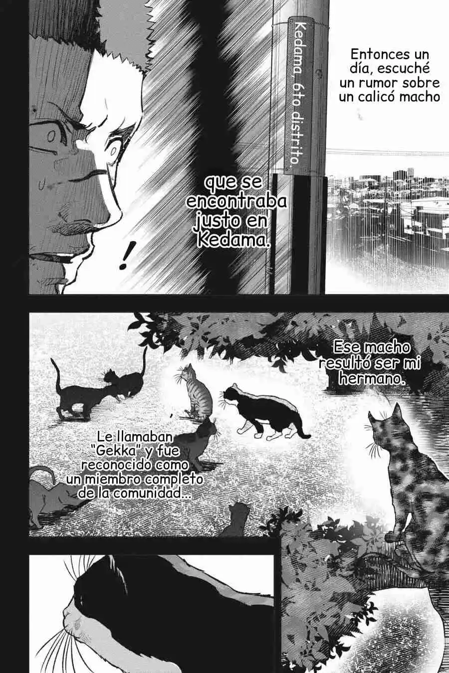 NYANKEES - Capítulo 27 - Página 21 - LectorTMOo