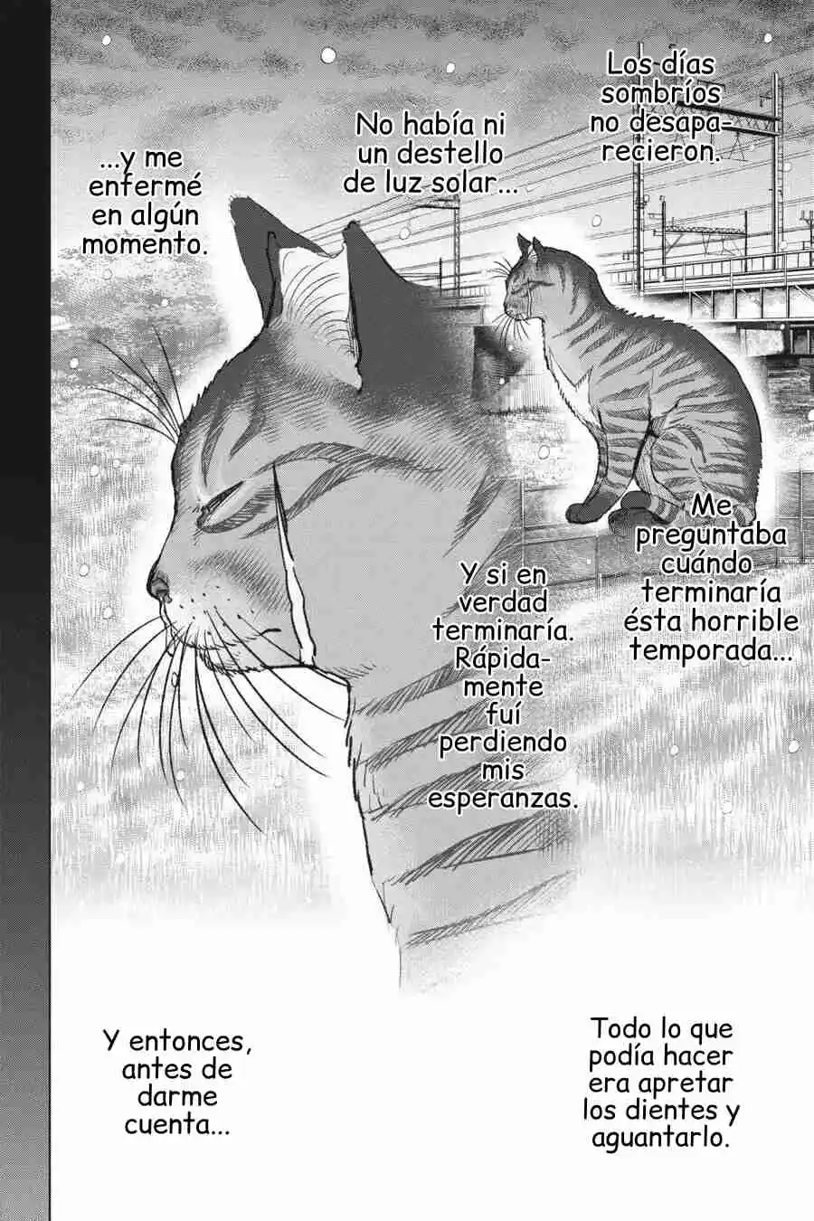NYANKEES - Capítulo 28 - Página 29 - LectorTMOo