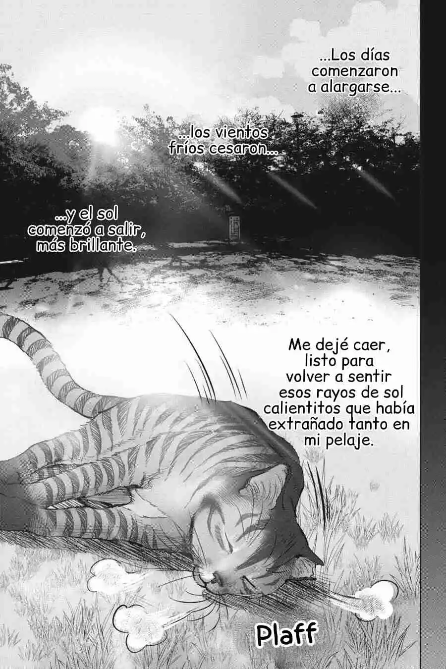 NYANKEES - Capítulo 28 - Página 30 - LectorTMOo