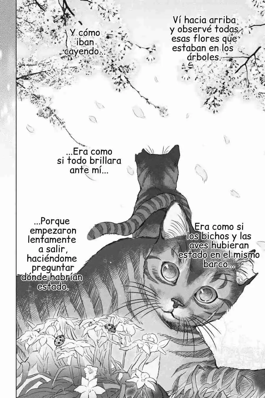 NYANKEES - Capítulo 28 - Página 31 - LectorTMOo