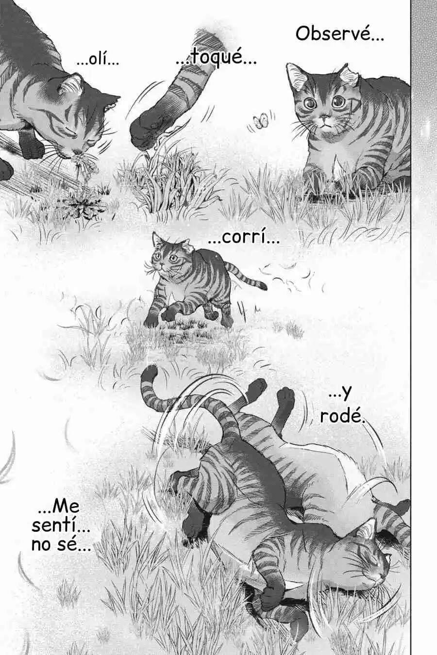 NYANKEES - Capítulo 28 - Página 32 - LectorTMOo