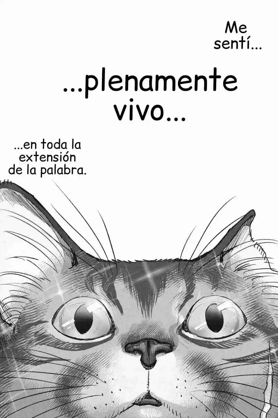 NYANKEES - Capítulo 28 - Página 33 - LectorTMOo
