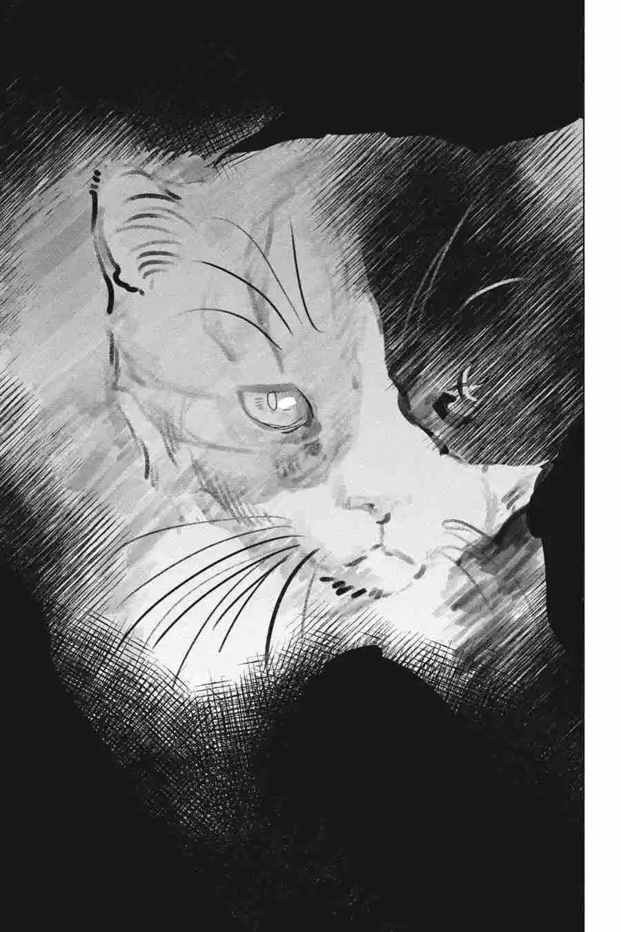 NYANKEES - Capítulo 29 - Página 18 - LectorTMOo