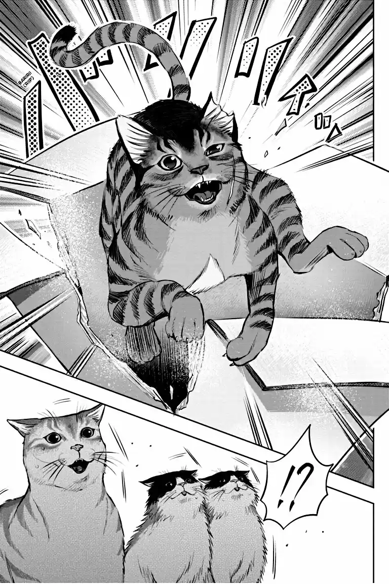 NYANKEES - Capítulo 3 - Página 24 - LectorTMOo
