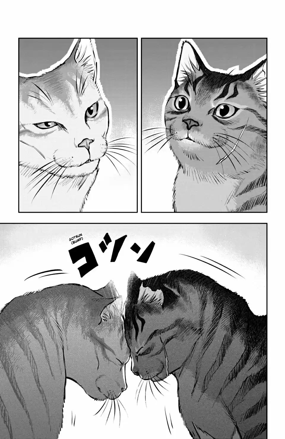 NYANKEES - Capítulo 4 - Página 15 - LectorTMOo