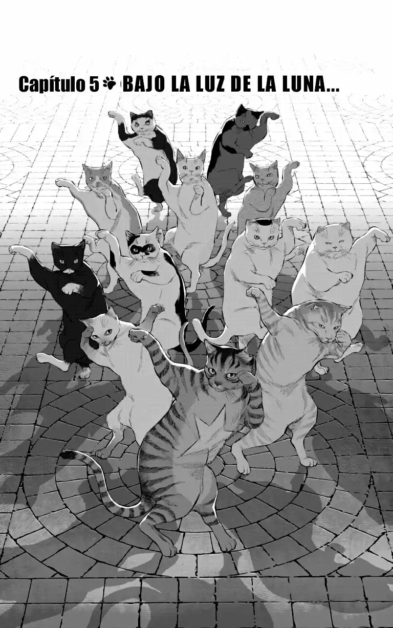 NYANKEES - Capítulo 5 - Página 2 - LectorTMOo