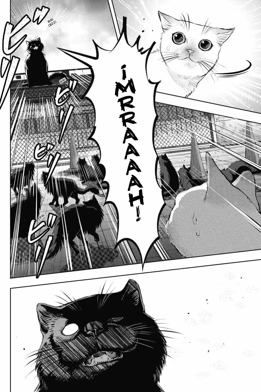 NYANKEES - Capítulo 6 - Página 6 - LectorTMOo