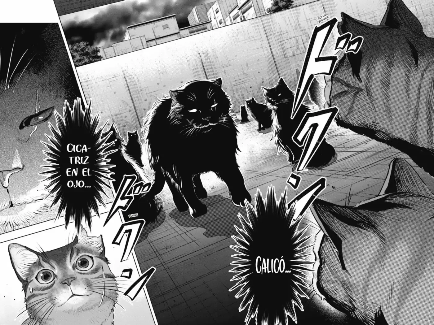 NYANKEES - Capítulo 6 - Página 25 - LectorTMOo