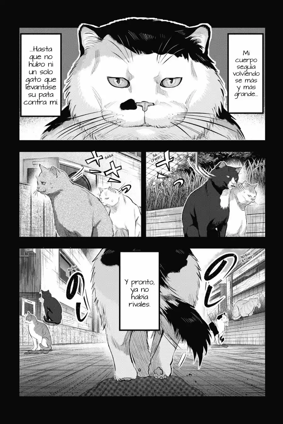 NYANKEES - Capítulo 7 - Página 7 - LectorTMOo
