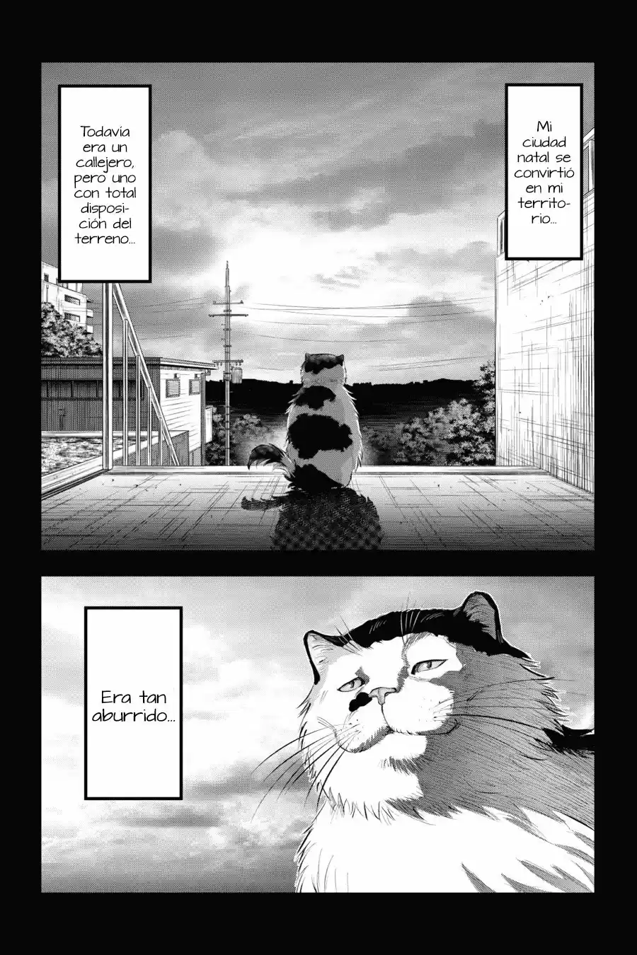 NYANKEES - Capítulo 7 - Página 8 - LectorTMOo