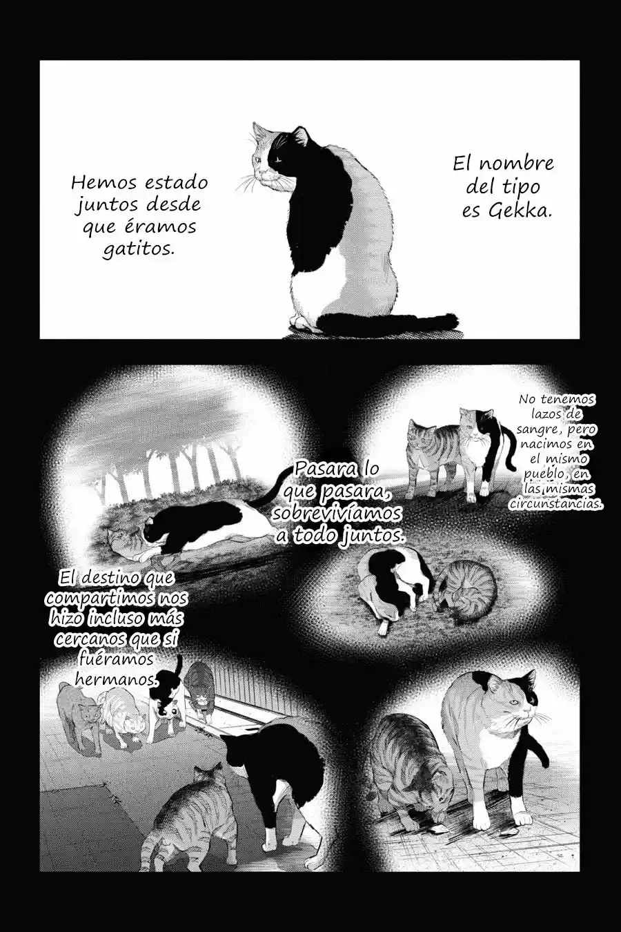 NYANKEES - Capítulo 9 - Página 21 - LectorTMOo
