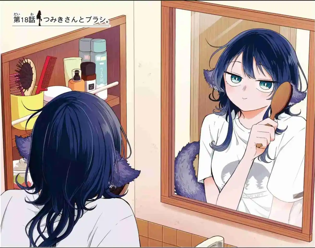 Ogami Tsumiki to Kinichijou - Capítulo 25.5 - Página 5 - LectorTMOo