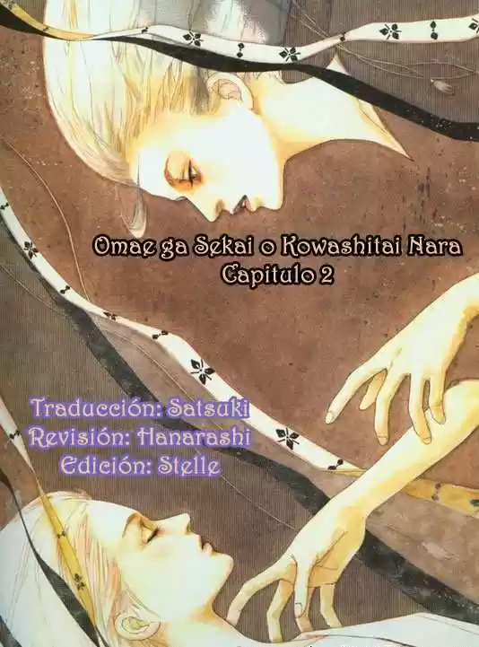 Omae Ga Sekai O Kowashitai Nara - Capítulo 2 - Página 1 - LectorTMOo
