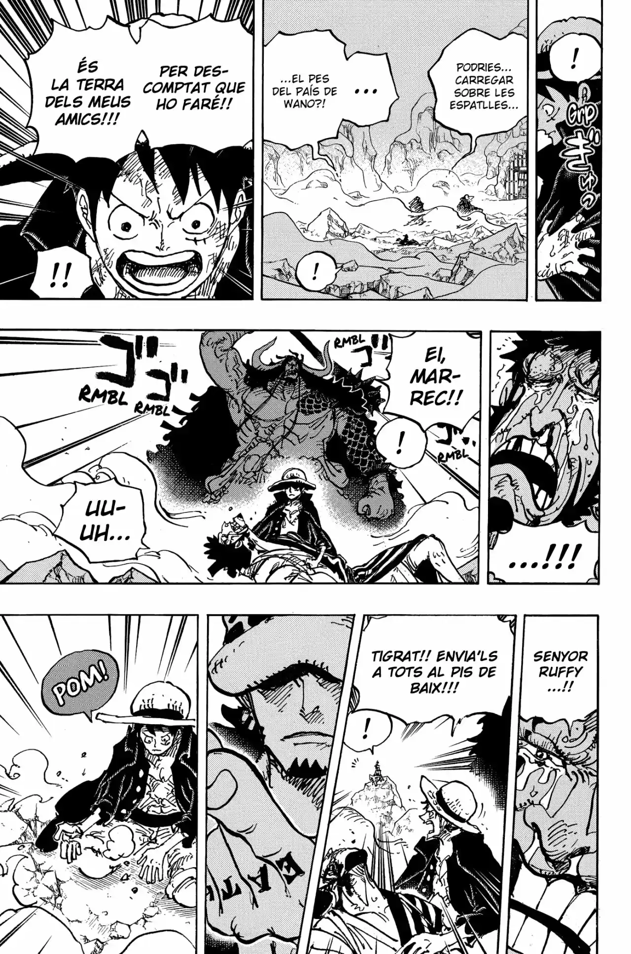One Piece (Català) - Capítulo 1000 - Página 13 - LectorTMOo